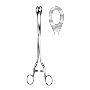 uae/images/productimages/medical-trade-hub/uterine-forceps/hilbro-noto-uterus-polypus-forceps-27-cm.webp