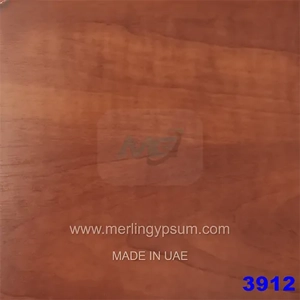 Ceiling Tile