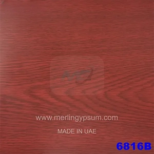 Ceiling Tile