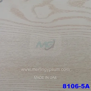 Ceiling Tile