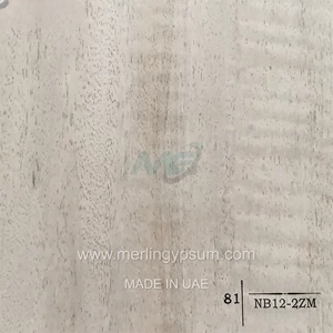 PVC Ceiling Tile