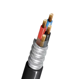 Control Cable