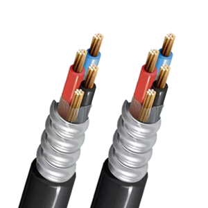 Control Cable
