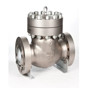 Check Valve