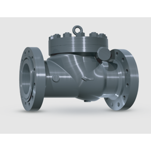 Check Valve