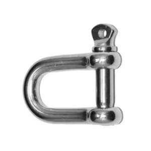 Dee Shackle