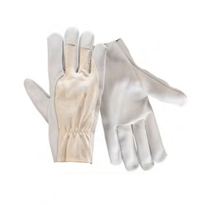 Motorcycle Glove