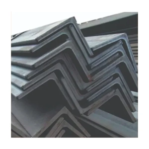 Stainless Steel Angle