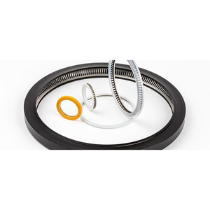 Mechanical Seal