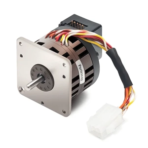 Parmanent Magnet Motor