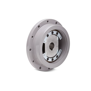 Centrifugal Brake