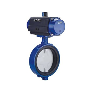 Butterfly Valve