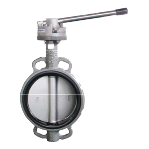 Butterfly Valve