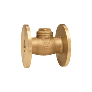 Check Valve