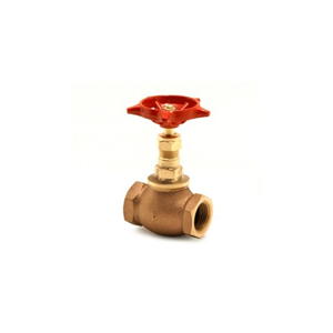 Globe Valve