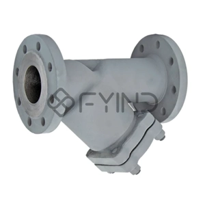 Y Strainer