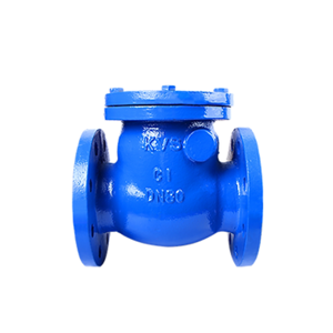 Swing Check Valve