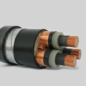 Power Cable
