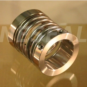 Mechanical Seal
