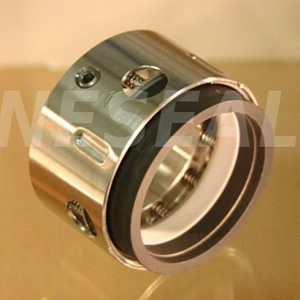 Mechanical Seal