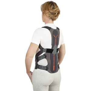 Lumbar Protector