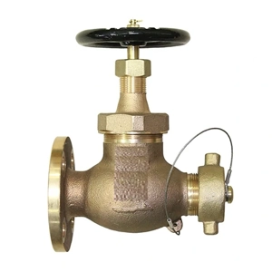 Globe Valve