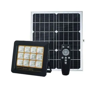 Flood Light
