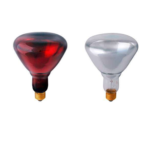 LED Light Fixture