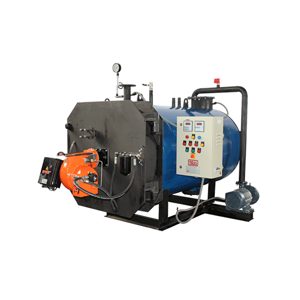 Gas Water Heater