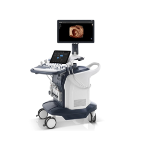 Medical Ultrasound