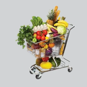 Shopping Trolley
