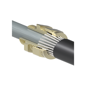 Cable Gland