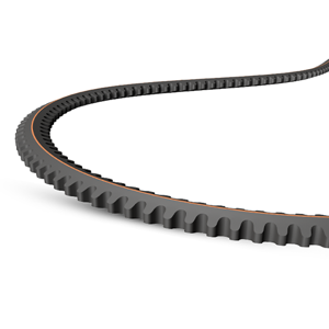 V Belt