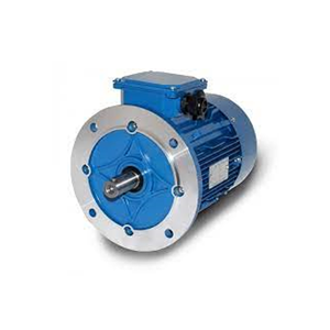 Electric Motor