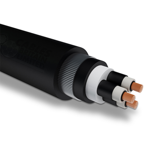 Control Cable