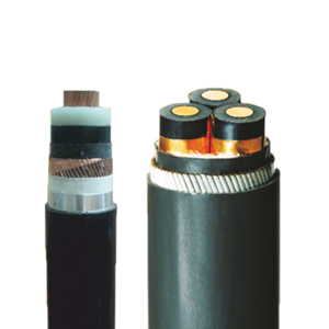Power Cable