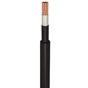 Building Cable