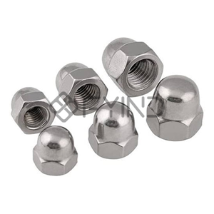 uae/images/productimages/prestige-metalloys-llc/cap-nut/hexagon-domed-cap-nut-nickel-alloy.webp