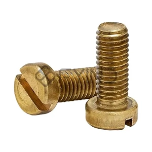 Slotted Screw