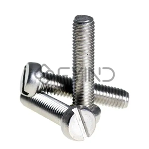 Slotted Screw