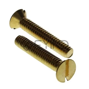 Slotted Screw