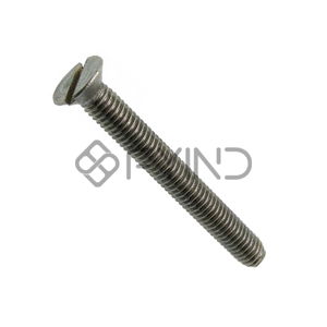 Slotted Screw