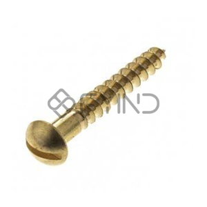 Slotted Screw