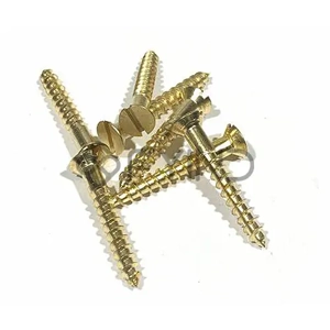 Slotted Screw