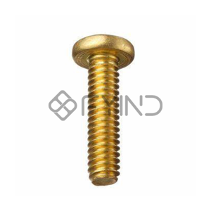 Slotted Screw