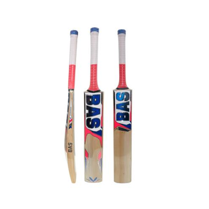 Cricket Bat