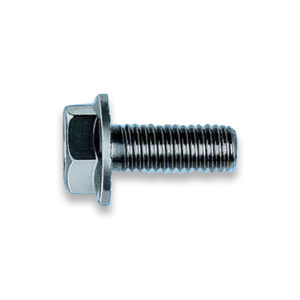 Carriage Bolt