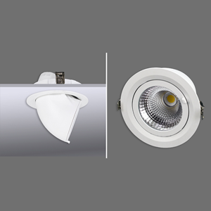 General Purpose Downlight