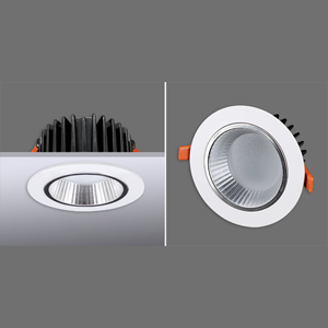 General Purpose Downlight