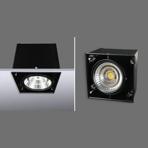 General Purpose Downlight